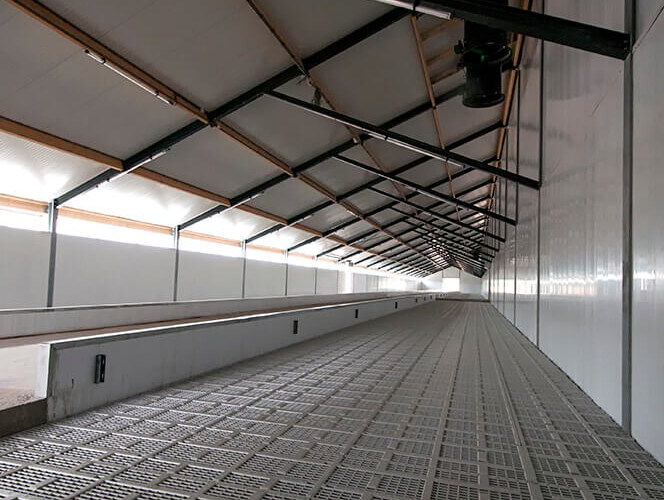 Combiboard kalverenstal Goosens St-Agatha