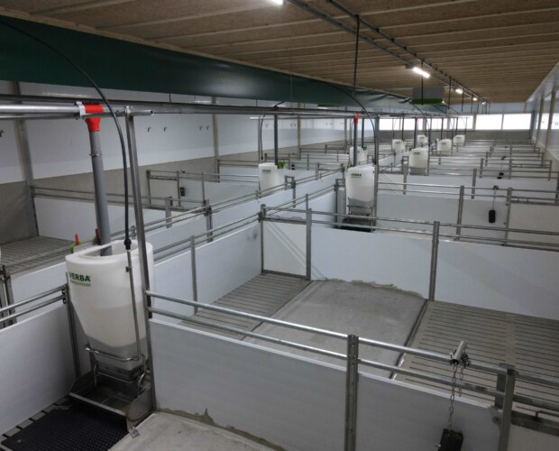 Kunststof panelen voor stallenbouw
