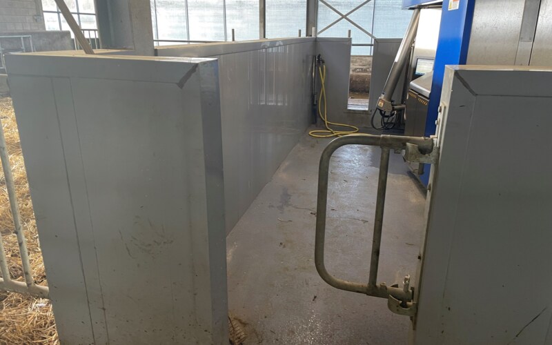 Melkroboterraum DeLaval