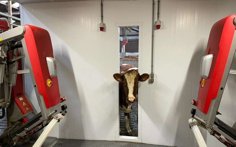 Milking robot protection