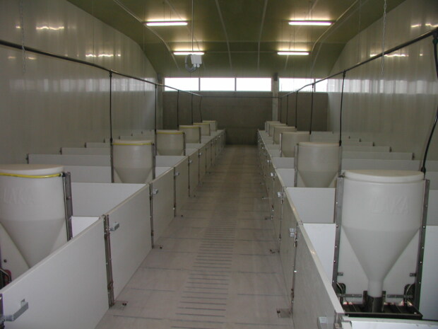 hokafscheiding-stallenbouw