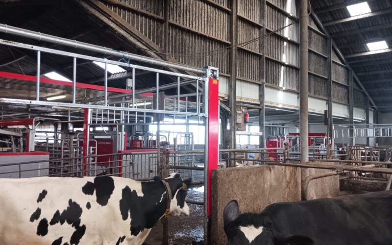 Milking robot area Lely