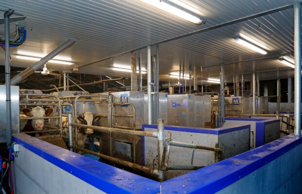 Melkroboter fullwood bau