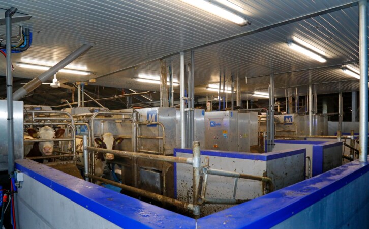 Melkroboter fullwood bau