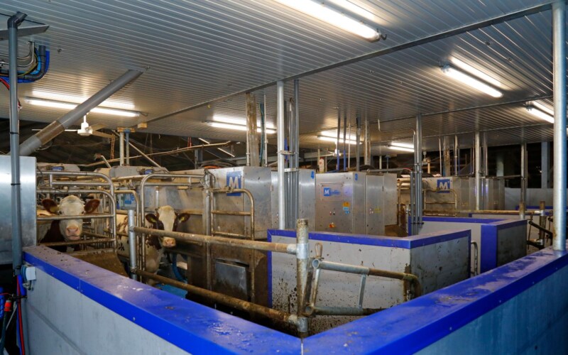 Melkroboter fullwood bau