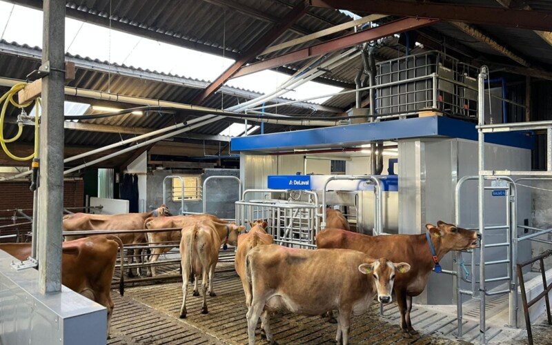 De Laval omheining melkrobot