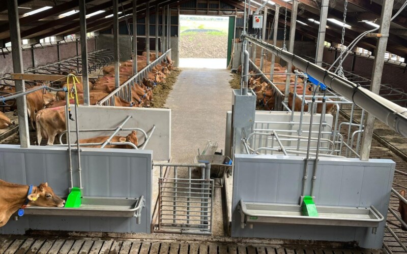 Ligbox wandsysteem