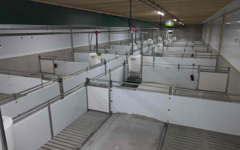 Stalinrichting varkensstal