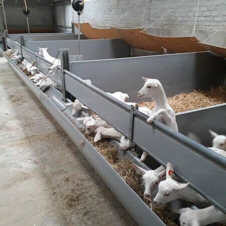 Goat Barn